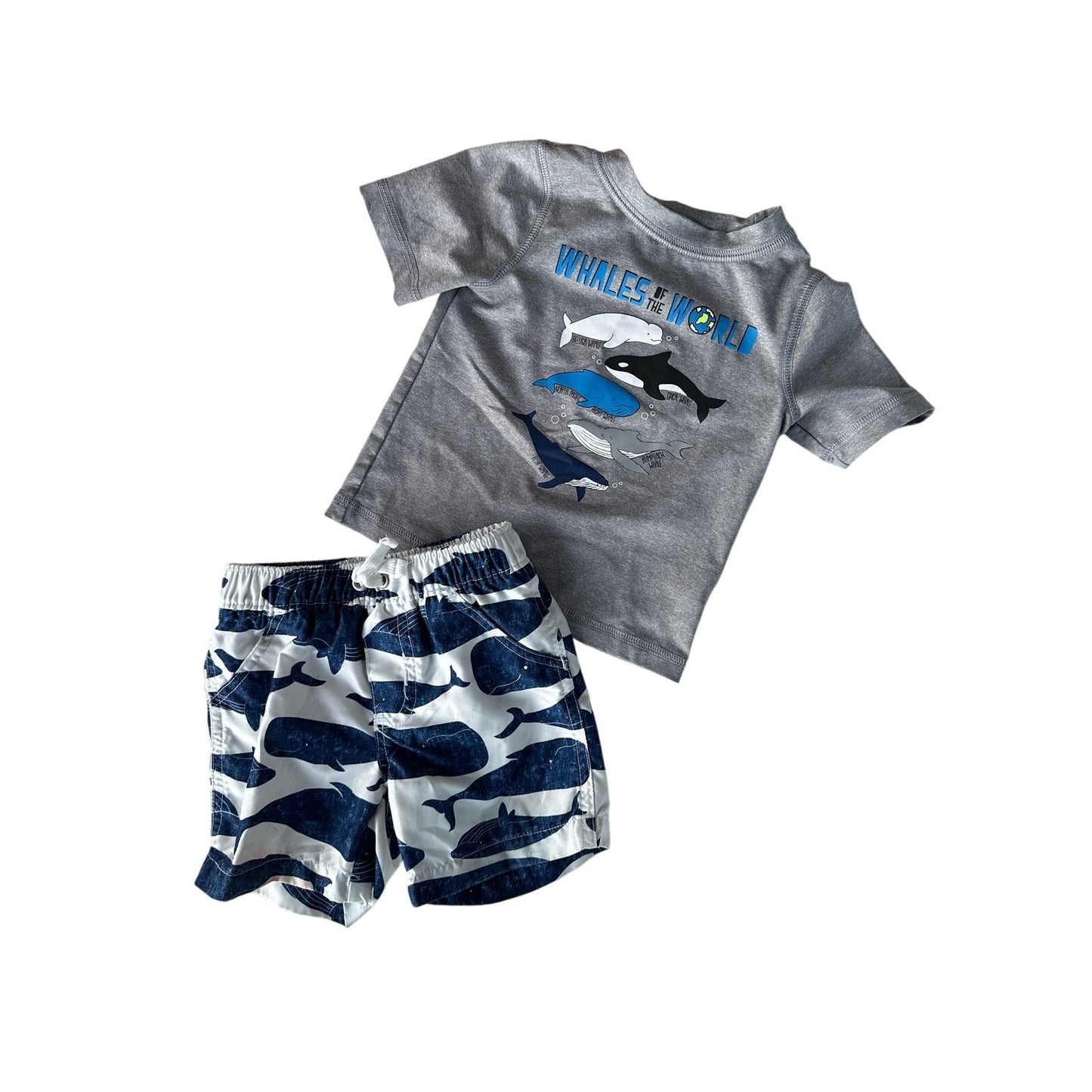 12M Boys Whale Swimwear